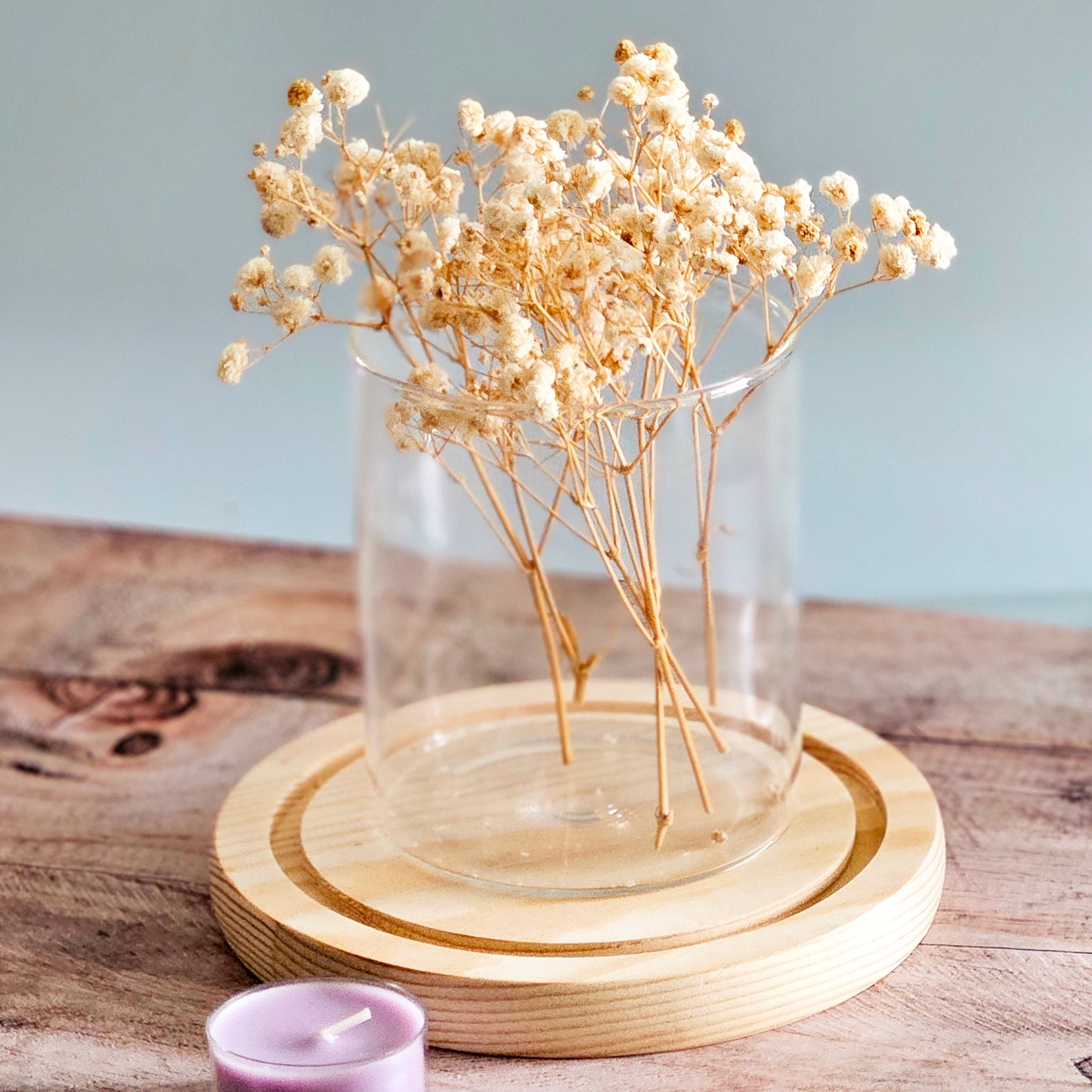 Preserved Colorful Baby's Breath | Gypsophila comes in 8 colors